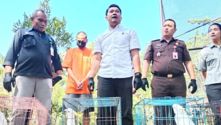 polisi tangkap pedagang burung jual 100 ekor satwa dilindungi 61235