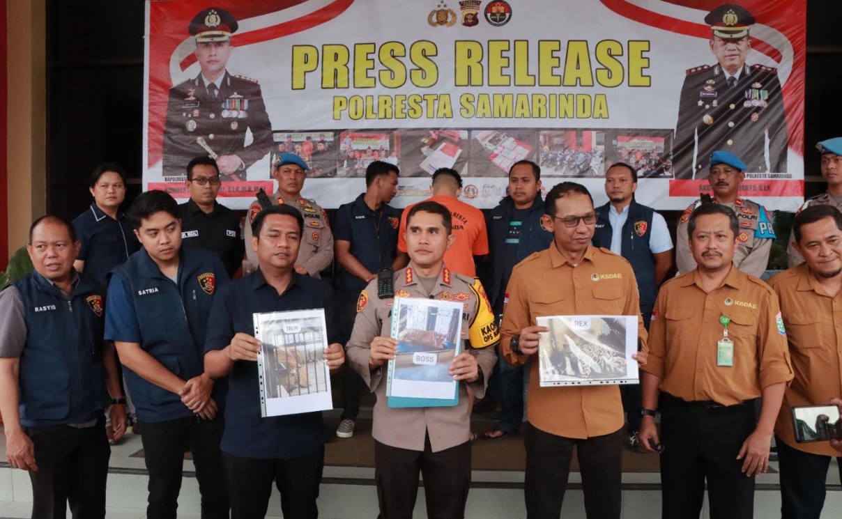polisi tetapkan pemilik harimau yang menewaskan keepernya sebagai tersangka 66665