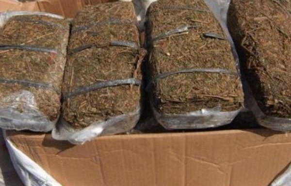 polisi ungkap penyelundupan ganja seberat 75 kg dalam makanan tradisional 15666