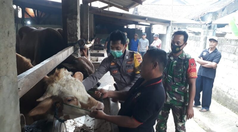 polres lampung tengah dan jajaran terus lakukan pendampingan serta pengawasan terkait penanganan pmk 48168