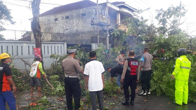 polres tulungagung tangani pohon tumbang yang menutup jalan 53051