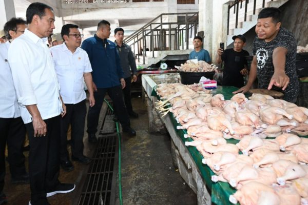 presiden jokowi cek harga dan berikan bantuan ke pedagang di pasar temenggoeng djaja karti 75841
