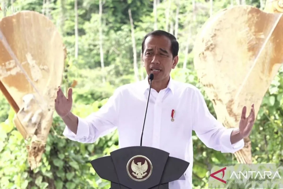 presiden jokowi meyakini kualitas udara ikn lebih baik dari melbourne dan paris 74872