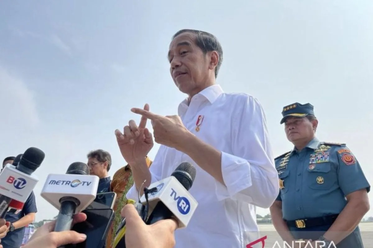 presiden jokowi pemerintah dahulukan investor lokal untuk ikn 66471