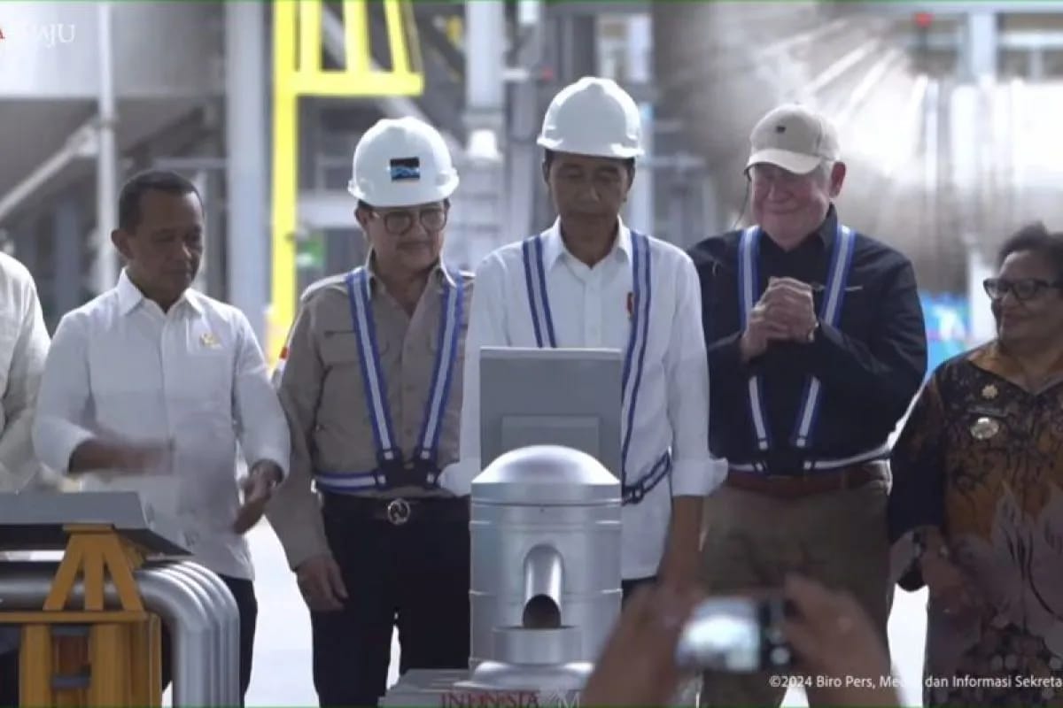 presiden jokowi resmikan smelter freeport di jawa timur 79186