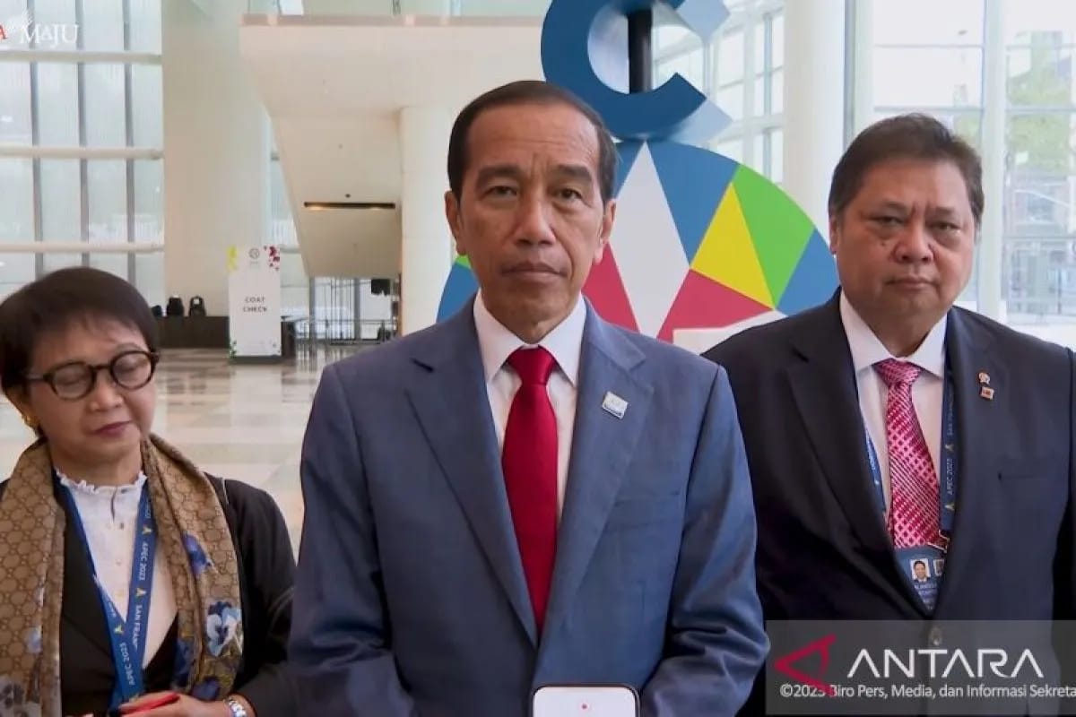 presiden jokowi yakini investor asing akan segera masuk ke ikn 66353