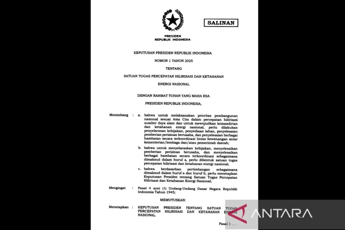 presiden prabowo resmi bentuk satgas percepetan hilirisasi dan ketahanan energi nasional 82872