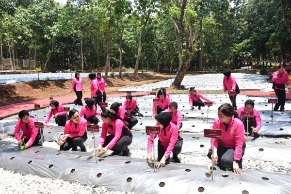 program akpol semarang bisa jadi role model ketahanan pangan 84601