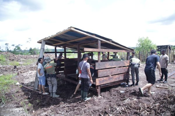 program kasuari bangun kandang babi untuk bapak onagen wjangge distrik nduga yang siapkan lahan 45128