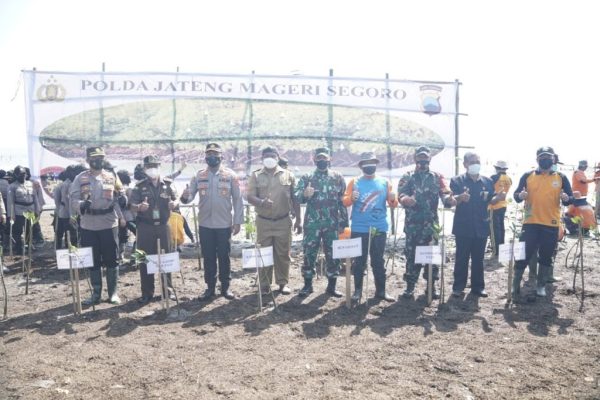 program mageri segoro polres pati tanam 5000 mangrove di pesisir bulumanis kidul 24582
