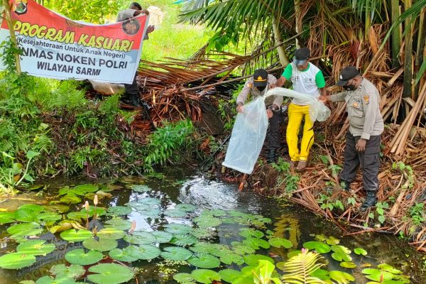 rainy season arrived noken community development unit distributes fish seeds for fish cultivation group of neidam village sarmi regency 43411