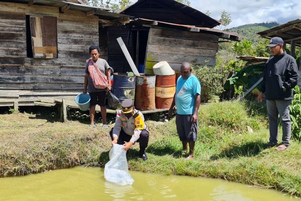 satgas binmas noken ops damai cartenz bantu ratusan ekor bibit ikan kepada warga masyarakat oksibil 46104