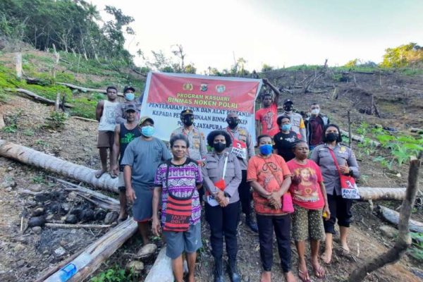 satgas binmas noken polri berikan bibit dan alat pertanian kepada masyarakat dalam rangka dukung ketahanan pangan 9413