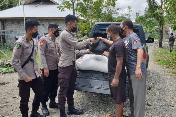 satgas binmas ops damai cartenz 2022 berikan pakan ternak di spot ternak babi yahukimo 45951