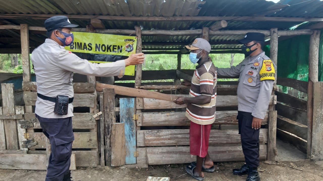 satgas binmas polda papua wilayah merauke laksanakan program kasuari 26941