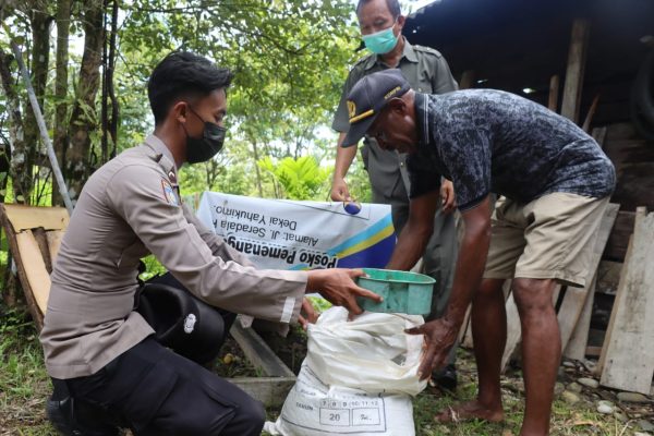 satgas humas ops damai cartenz 2022 berikan bantuan pakan ternak babi kepada masyarakat di yahukimo 46213