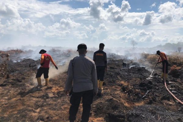 satuan brimob polda jambi berhasil padamkan lahan seluas 25 hektare 18129