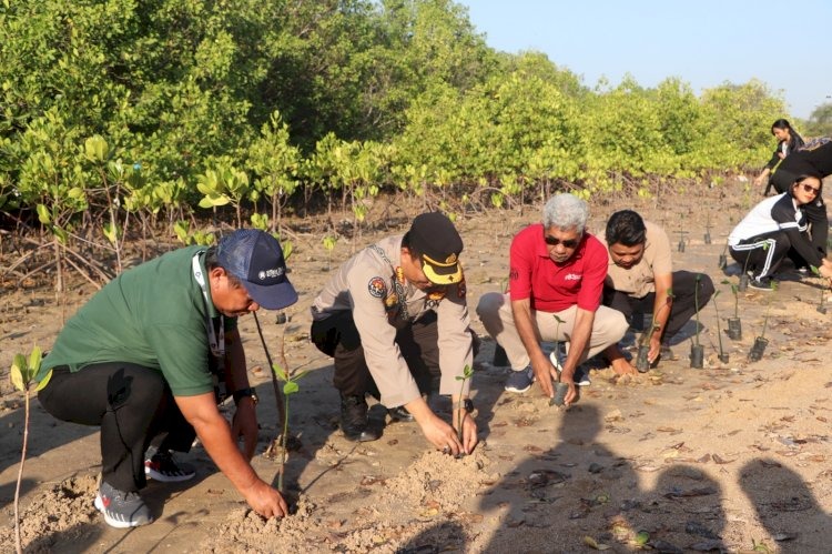 sebanyak 1 870 pohon berhasil di tanam humas polda ntt dalam rangka menyambut hut humas ke 72 64809