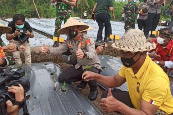 sebut trobosan kreatif kapolda bali apresiasi program polisi berkebun di tengah pandemi covid 19 23292