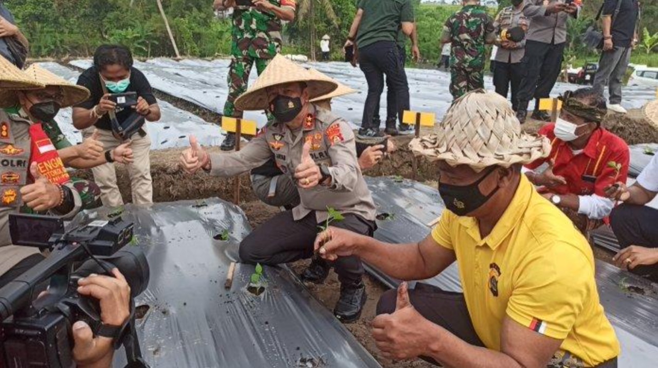 sebut trobosan kreatif kapolda bali apresiasi program polisi berkebun di tengah pandemi covid 19 23292