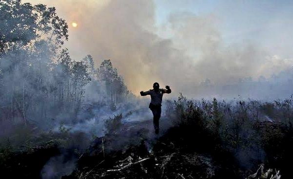 selama januari maret 2021 polda riau sudah tahan delapan pelaku karhutla 30763