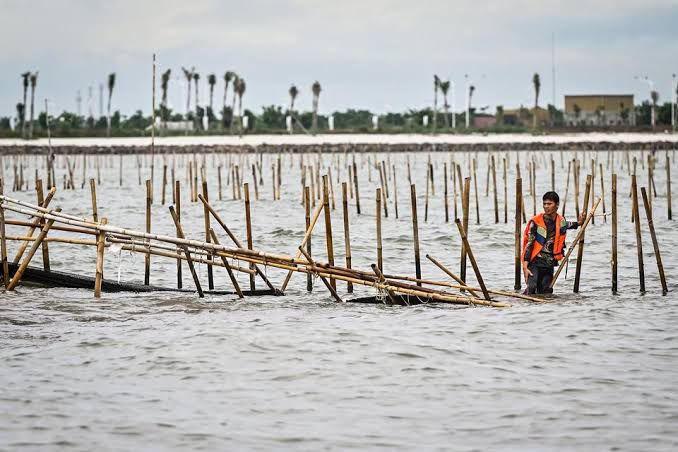 selidiki kasus shgb di perairan sidoarjo polda jatim bentuk tim khusus 83402