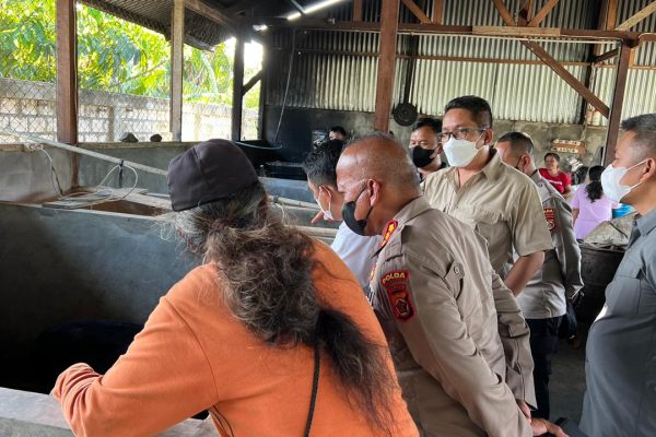 tambah wawasan anggota satgas binmas noken tim supervisi dan asistensi satgas binmas noken sambangi peternak babi 13519