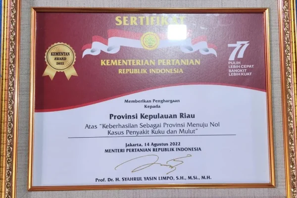 temp 482