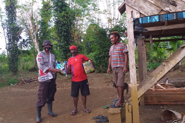 the kasuari programme of noken community development unit inspecting corn and tubers in the farming land of mosso village muara tami district 42945