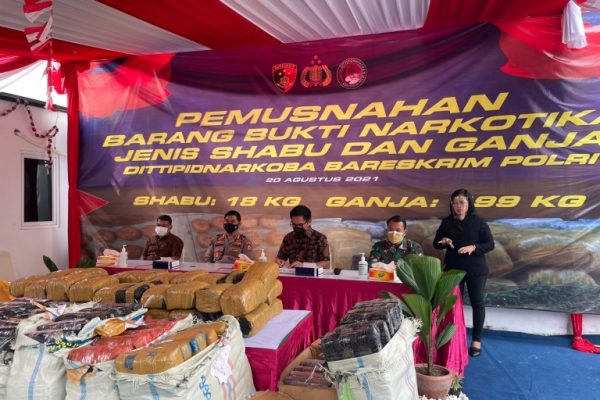 the police destroyed 18 kg of marijuana and 499 kg of methapetamine from 17 suspects 41426