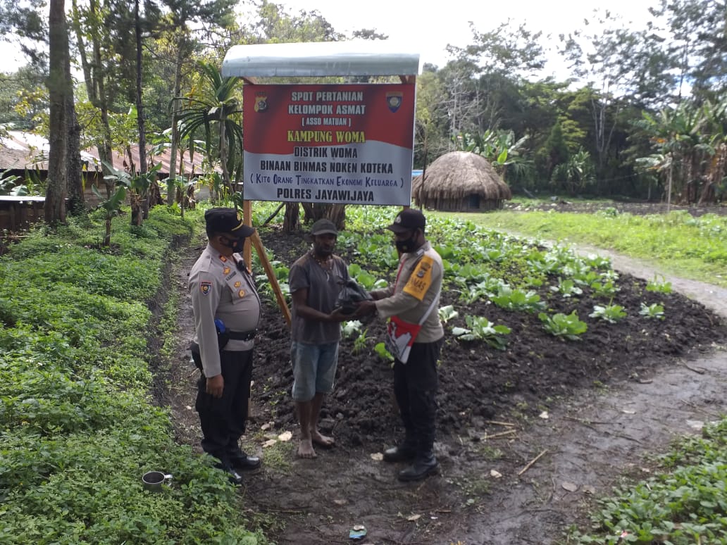 the uniqueness of papuan police together with farming group to enhance farming potentials during the pandemic 41034