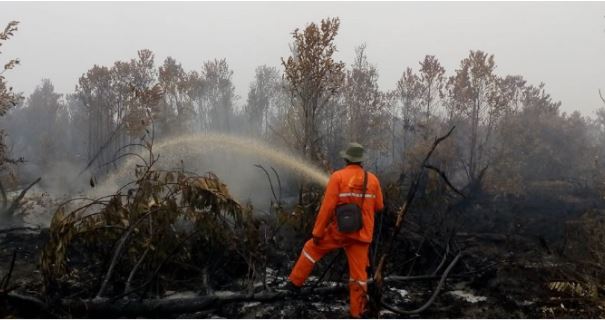 to prevent forest and land fires central kalimantan regional police deploy a fire hunting team 39070