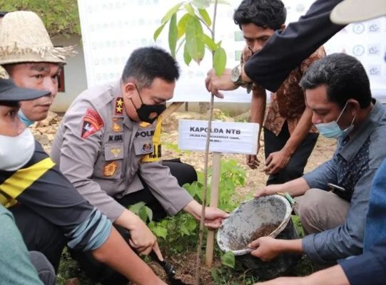 together with the environmentalist community chief of west nusa tenggara regional police planted 10000 trees in mandalika special economic zone 44378