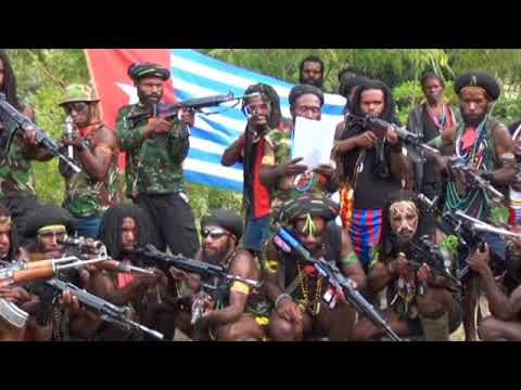 tumpas kkb di papua polri libatkan tiga lembaga ini 28604