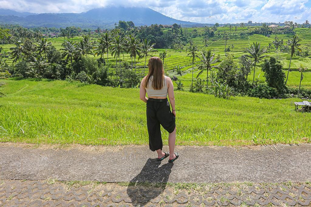 unesco ri berkomitmen pertahankan kelestarian subak sebagai warisan budaya dunia 74333