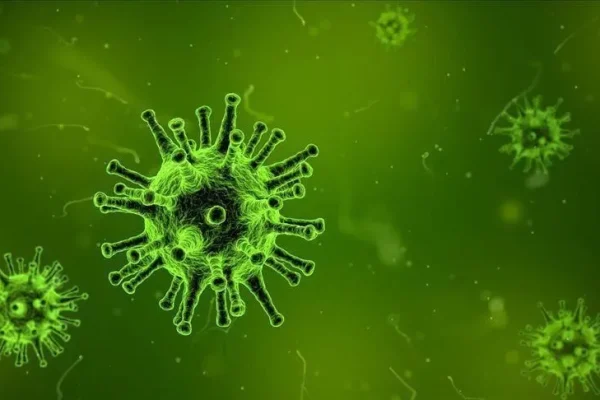 virus korona 1