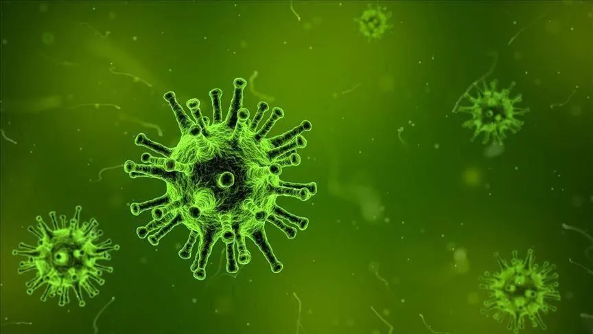 virus korona 2