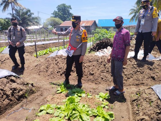 wakapolda papua pimpin tinjau spot pertanian satgas binmas nemangkawi polres merauke 9723