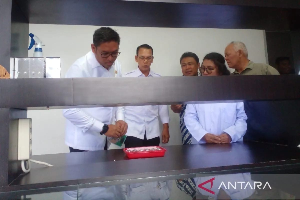 wamentan teknologi kementeriannya mampu ciptakan bibit tanaman perkebunan yang baik 77501